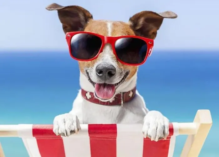 El Amanecer De 3 * Calp